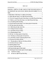 Luận văn: Tổ chức kế toán bán hàng và xác định kết quả bán hàng tại công ty TNHH TM chân trời mới