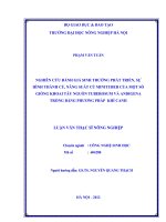 Nghiên cứu đánh giá sinh trưởng phát triển, sự hình thành củ, năng suất củ minituber của một số giống khoai tây nguồn tuberosum và andigena trồng bằng phương pháp khí canh