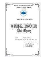 Tiểu luận Đầu tư tài chính Mô hình định giá tài sản vốn CAMP Lý thuyết và bằng chứng