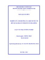 Nghiên cứu ảnh hưởng của một số yếu tố đến sự ra hoa in vitro ở cây hoa hồng