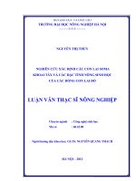 Nghiên cứu xác định các con lai soma khoai tây và các đặc tính nông sinh học của các dòng con lai đó