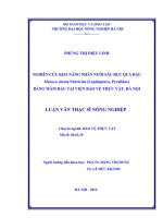 Nghiên cứu khả năng nhân nuôi sâu đục quả đậu maruca vitrata fabricius (lepidoptera, pyralidae) bằng mầm đậu tại viện bảo vệ thực vật, hà nội