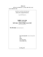 hướng dẫn trình bày và thực hiện tiểu luận