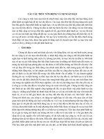 CÁC CẤU TRÚC VỐN ĐỘNG VÀ NỢ NGẮN HẠN