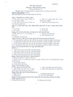 đề thi pháp luật đại cương đề 2 pdf