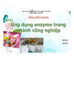 ĐỀ TÀI: Ứng dụng Enzyme trong ngành công nghiệp