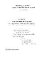 Tiểu luận Tài chính doanh nghiệp KIỂM ĐỊNH HÌNH THỨC HIỆU QUẢ DẠNG YẾU CỦA THỊ TRƯỜNG CHỨNG KHOÁN VIỆT NAM