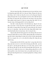 đánh giá kết quả điều trị gãy hai xương cẳng chân bằng phương pháp đóng đinh có chốt ngang định vị đầu xa