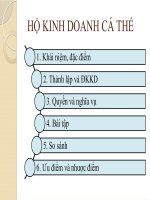 Luật kinh tế   hộ kinh doanh cá thể