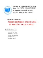 Tiểu luận đầu tư tài chính Chủ đề bài nghiên cứu MÔ HÌNH ĐỊNH GIÁ TÀI SẢN VỐN – LÝ THUYẾT VÀ BẰNG CHỨNG