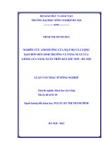 Nghiên cứu ảnh hưởng của mật độ và lượng đạm bón đến sinh trưởng và năng suất của giống lúa nàng xuân trên đất sóc sơn   hà nội