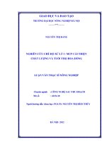 Nghiên cứu chế độ xử lý 1 MCP cải thiện chất lượng và tuổi thọ hoa hồng