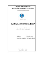 ĐỀ TÀI: Vận dụng quy trình cấp hạn mức tín dụng của Ngân hàng Thương mại Cổ phần xăng dầu Petrolimex  chi nhánh Hải Phòng để xác định hạn mức tín dụng cho công ty cổ phần thép Việt Nhật