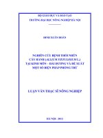 Nghiên cứu bệnh thối nhũn cây hành (allium fistulosum l ) tại kinh môn hải dương và đề xuất một số biện pháp phòng trừ