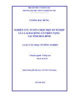 Nghiên cứu tuyển chọn một số tổ hợp lúa lai hai dòng có triển vọng tại tỉnh hoà bình