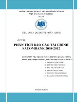 TIỂU LUẬN QUẢN TRỊ NGÂN HÀNG PHÂN TÍCH BÁO CÁO TÀI CHÍNH SACOMBANK 2008 - 2012