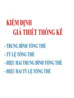 Slide bài giảng xác suất thông kê kiểm định giả thiết thống kê