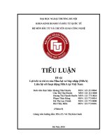 Tiểu luận đầu tư quốc tế lợi ích và rủi ro của mua lại và sáp nhập (MA)  liên hệ với hoạt động MA tại việt nam