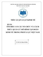 TIỂU LUẬN tìm HIỂU cơ cấu tổ CHỨC và CÁCH THỨC QUẢN lý mô HÌNH tập đoàn KINH tế TRONG PHÁP LUẬT VIỆT NAM