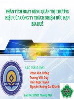 phân tích hoạt động quản trị thương hiệu của công ty trách nhiệm hữu hạn bia huế