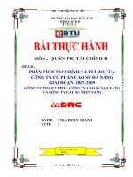 bài thực hành môn quản trị tài chính II: Phân tích tài chính và rủi ro của công ty cổ phần cao su đà nẵng