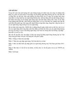 Tiểu luận môn tài chính ngân hàng thâu tóm và sát nhập ngân hàng