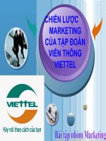 chiến lược marketing của tập đoàn viễn thông viettel
