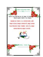 BÁO CÁO NỘI DUNG TỰ HỌC TỰ BỒI DƯỠNG PHẦN KIẾN THỨC TỰ CHỌN. MODULE THCS  11: CHĂM SÓC, HỖ TRỢ TÂM LÍ HỌC SINH NỮ, HỌC SINH NGƯỜI DÂN TỘC THIỂU  SỐ CỦA HỌC SINH TRUNG HỌC CƠ SỞ.