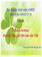 vietnam airlines - thương hiệu gắn liền bản sắc việt