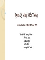 báo cáo : cmiscmip trong tmn