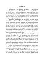 nghiên cứu hình thái tổn thương mâm chày và kết quả điều trị gãy kín loại schatzker v và vi bằng kết xương nẹp vít (tt)