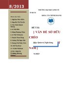 Tiểu luận môn Quản trị ngân hàng VẤN ĐỀ SỞ HỮU CHÉO TẠI VIỆT NAM