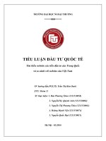 Tiểu luận đầu tư quốc tế tìm hiểu website xúc tiến đầu tư của trung quốc và so sánh với website của việt nam