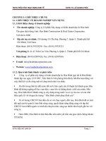 phân tích báo cáo tài chính Công ty Cổ phần Xây dựng và Kinh doanh địa ốc Hòa bình