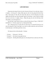 báo cáo thực tập công nhân công ty tnhh mtv foodinco