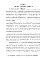 CHƯƠNG 1 Tổng quan nghiên cứu ĐTPT Đạm Hà Bắc 2006  2020