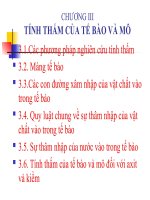 tính thấm của tế bào và mô