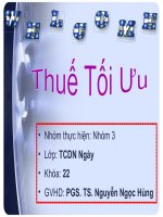 Tiểu luận phân tích chính sách thuế Đề tài : Thuế tối ưu