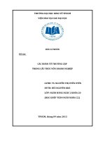 CÁC NHÂN TỐ THƯỚNG GẶP TRONG CẤU TRÚC VỐN DOANH NGHIỆP