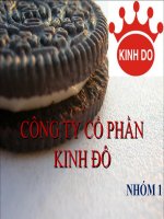 phân tích công ty cổ phần kinh đô