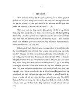 đánh giá kết quả phẫu thuật nội soi đốt hạch giao cảm ngực điều trị thiếu máu mạn tính cục bộ đầu ngón tay