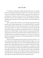 ứng dụng pcr đa mồi đặc hiệu này xác định mức độ methyl hóa 3 promoter điều hòa biểu lộ gen ebna1 của ebv trong các mẫu sinh thiết bệnh nhân ung thư vòm mũi họng