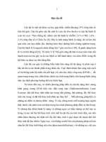nghiên cứu đặc điểm lâm sàng, cận lâm sàng của mắt cận thị cao ở người trưởng thành và kết quả điều trị bằng phương pháp tán nhuyễn thể thủy tinh