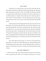 nghiên cứu một số chỉ số huyết động của động mạch thận và mức lọc cầu thận ở bệnh nhân tăng huyết áp nguyên phát (tt)