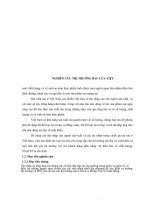 nghiên cứu thị trường rau của việt nam