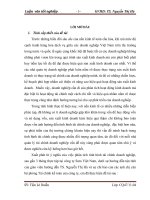 “ đánh giá tình hình tài chính và các biện pháp nâng cao hiệu quả hoạt động kinh doanh của công ty cổ phần sara việt nam