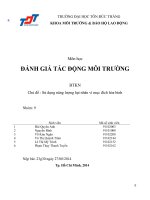 Báo cáo đánh giá tác động môi trường: Sử dụng năng lượng hạt nhân vì mục đích hòa bình