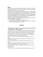 Bài tập hình sự cuối kỳ (ĐH luật HN)