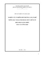 Nghiên cứu ô nhiễm môi trường làng nghề trồng rau ngoại thành Hà Nội và đề xuất biện pháp giảm thiểu