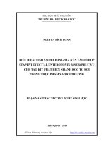 Biểu hiện, tinh sạch kháng nguyên tái tổ hợp staphylococcal enterotoxin b (seb) phục vụ chế tạo kít phát hiện nhanh độc tố seb trong thực phẩm và môi trường